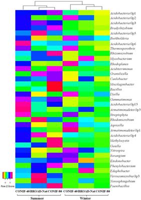 Effects of Reforestation on the Structure and Diversity of Bacterial Communities in Subtropical Low <mark class="highlighted">Mountain Forest</mark> Soils